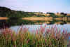 Lago di Mezzano.jpg (55027 byte)