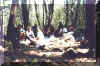 picnic selva del Lamone.jpg (23962 byte)